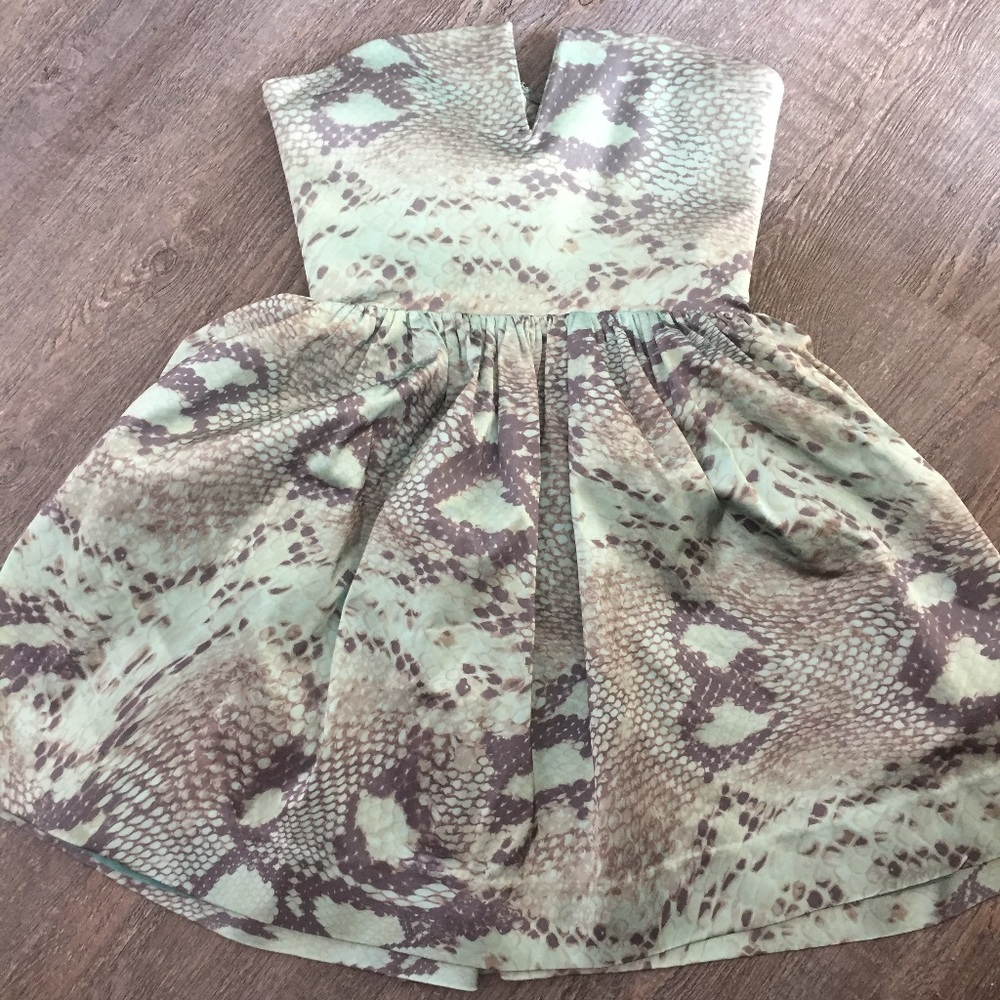 Alexis Strapless Mini Dress in Mint and Taupe Snakeskin Print